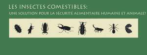 L’entomophagie, parade aux futures pénuries alimentaires