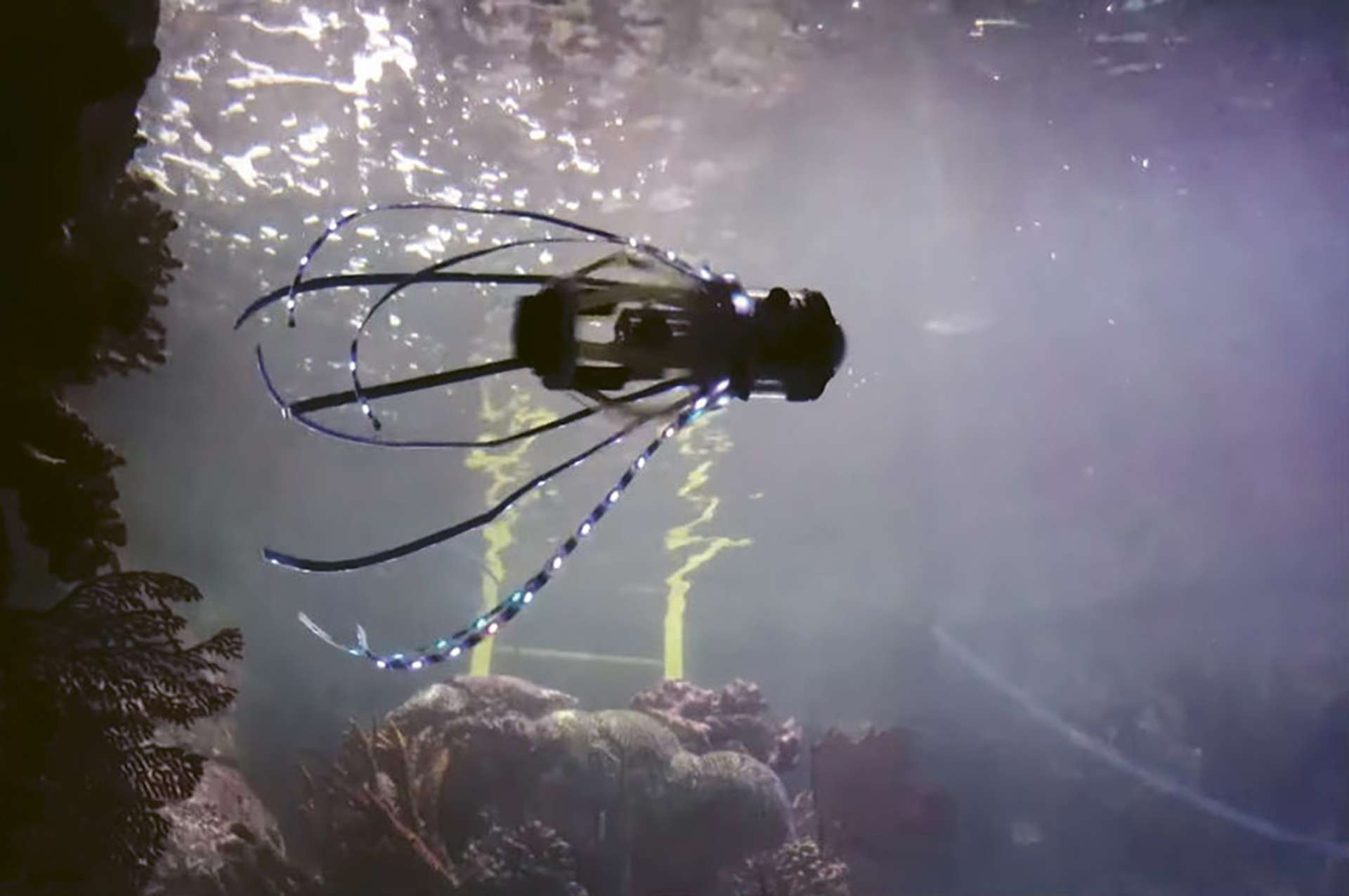 Un « robot calmar » pour explorer les environnements marins