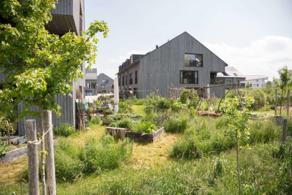 6_BindingPreis_PraRoman_Gemeinschaftsgarten_S_Würsch